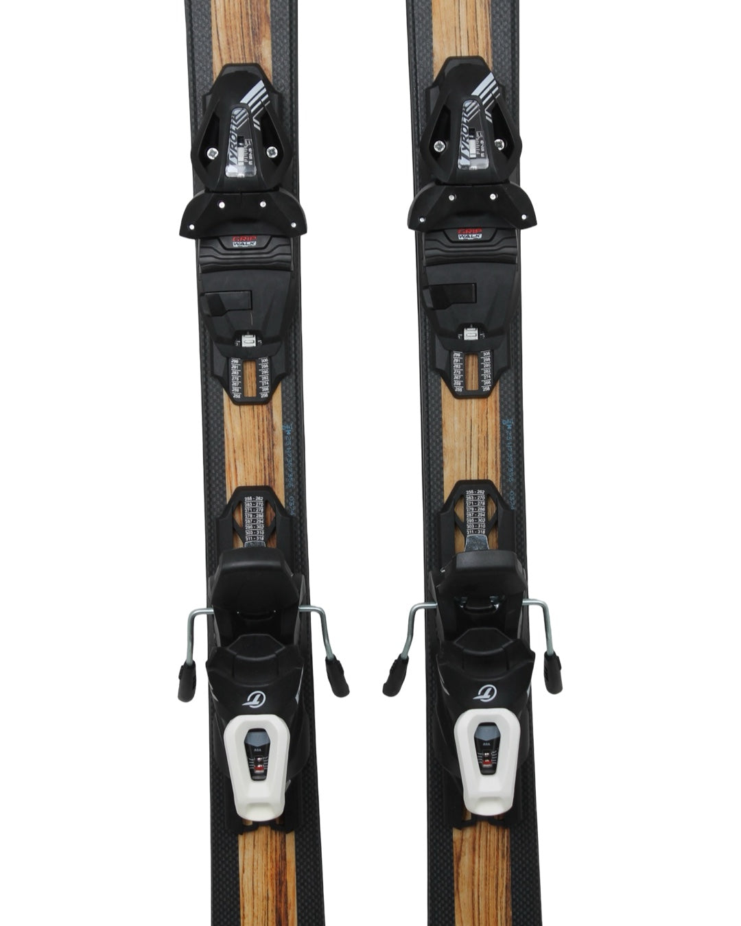 Aspen född i Colorado