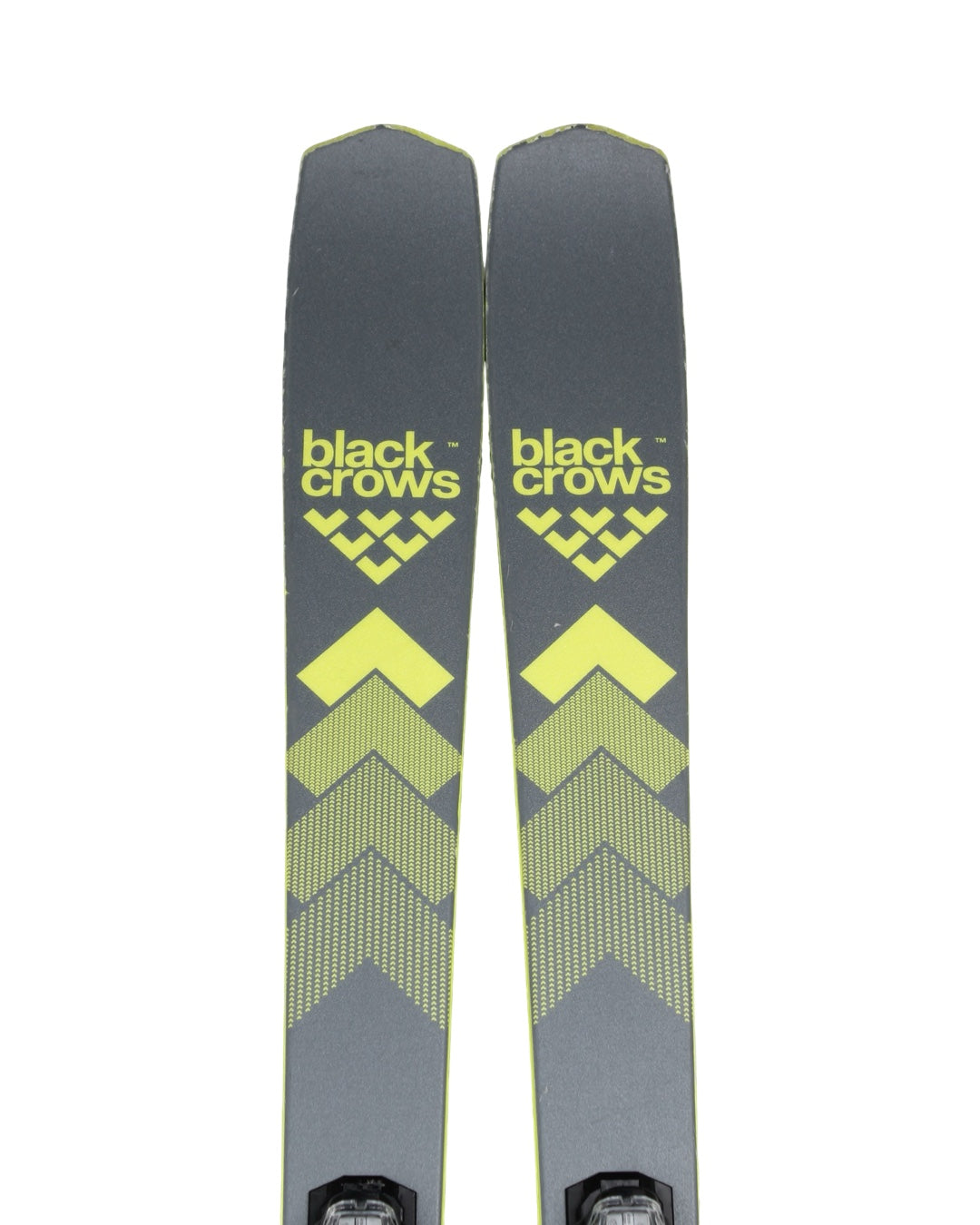 Blackcrows Octo