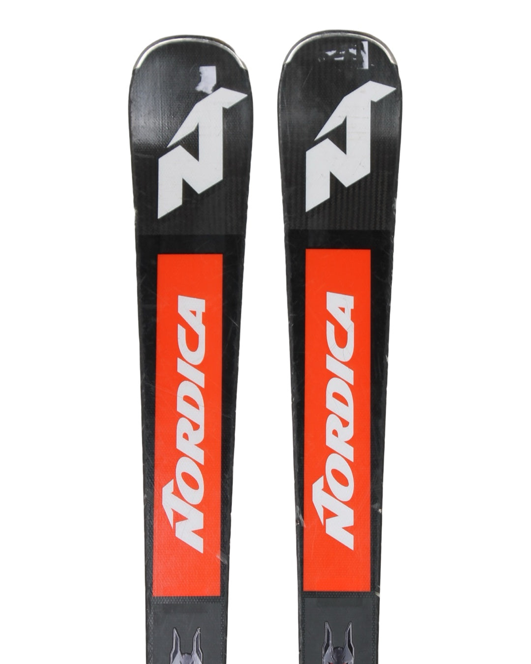 Nordica SLR Doberman