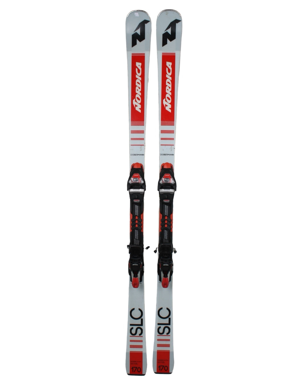 Nordica doberman SLC 2019