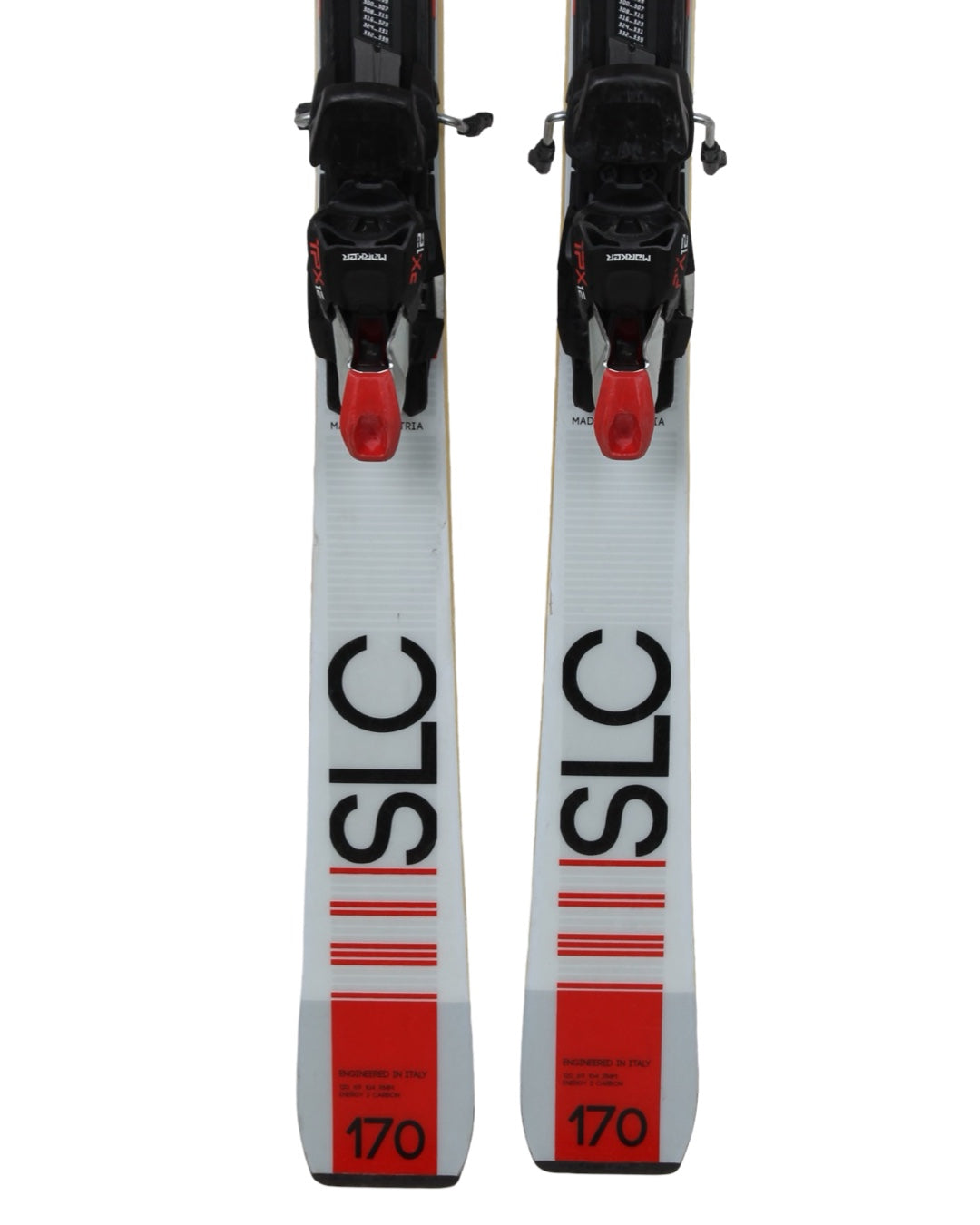 Nordica doberman SLC 2019