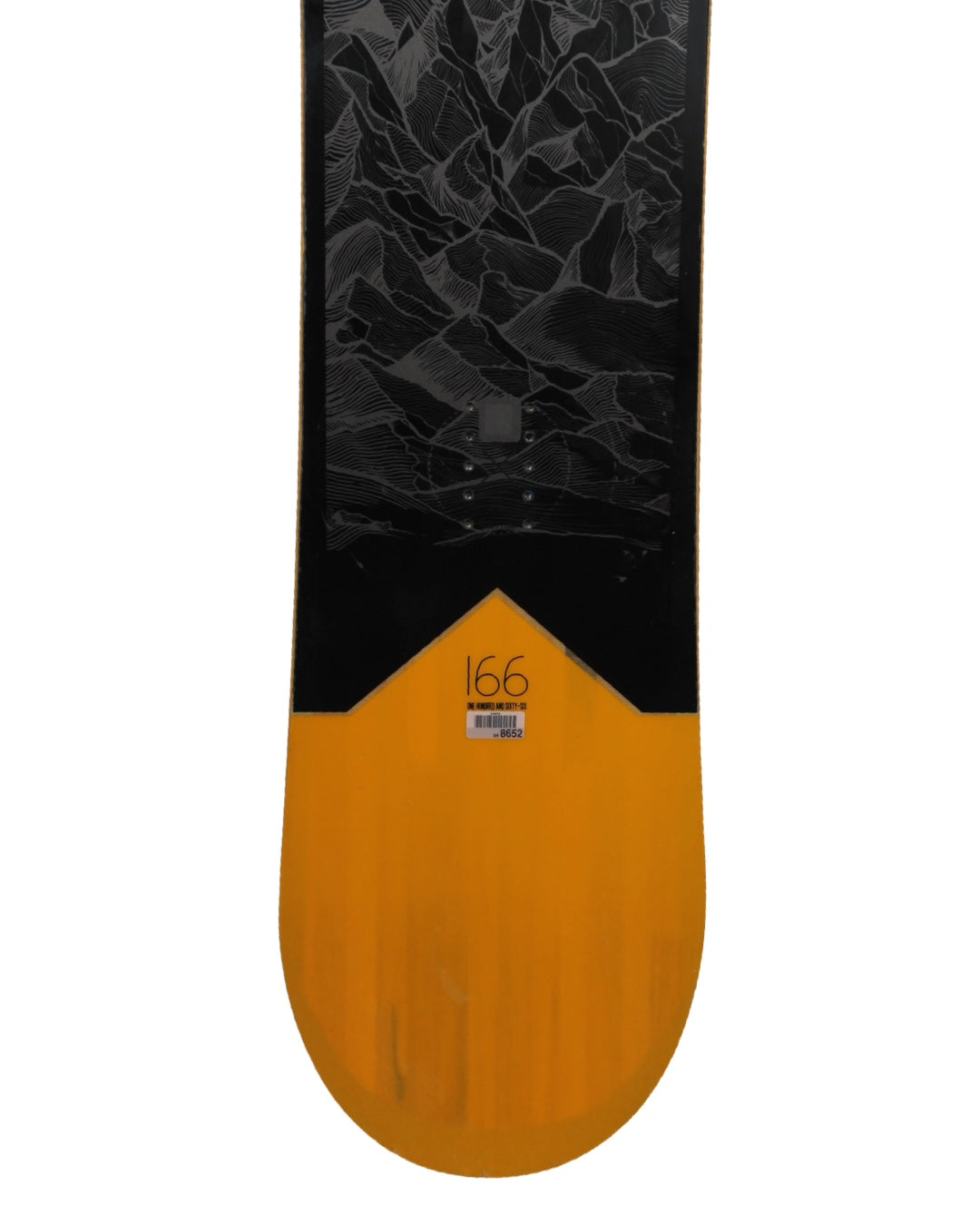 Salomon syn